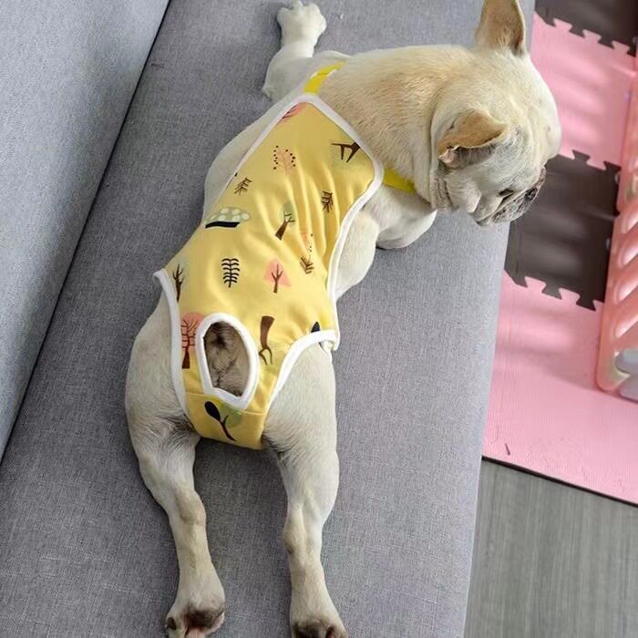 狗狗生理月经期防骚扰宠物生理裤