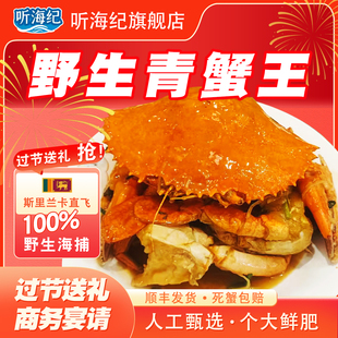 【年货礼盒】斯里兰卡青蟹王特大鲜活青蟹进口海捕野生肉蟹海水蟹