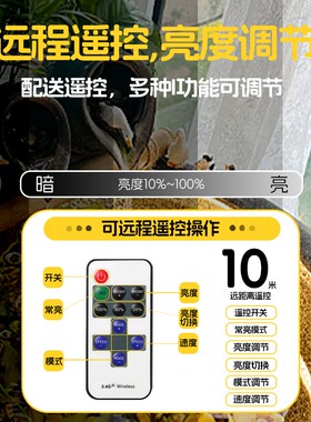 鱼缸专用灯带防水定时遥控调光陶瓷古法养鱼氛围补光水下led灯条