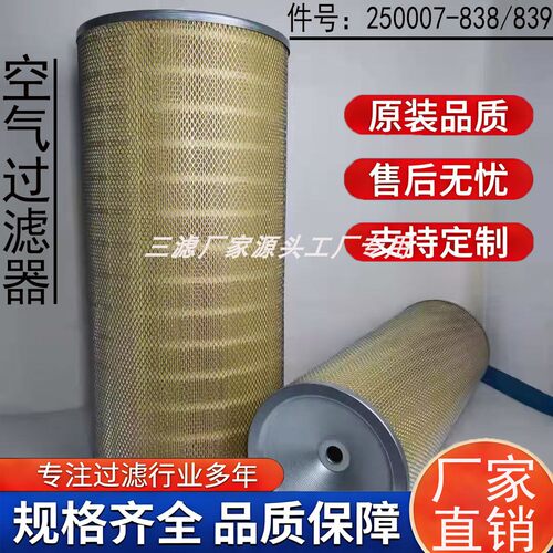 空滤芯 250007-838/839 寿力螺杆机LS25S-300/350HP空气过滤器