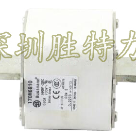 170M6810 美国BUSSMANN保险丝 630A 690V 700V熔断器