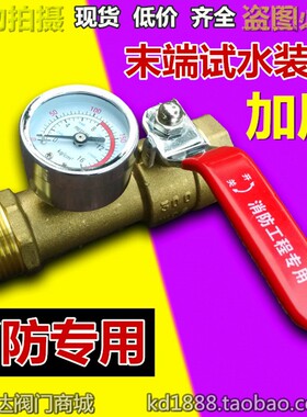 消防末端试水装置 水管试压球阀带压力表消防专用测压阀 1寸DN25
