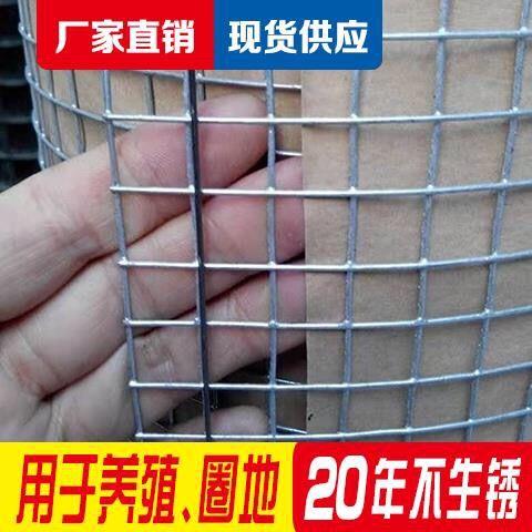 养殖网铁丝网拦鸡网鸭鹅漏粪铁网窗户铁丝网鸡舍网热镀锌铁丝网格