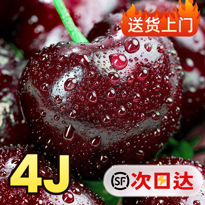 美国车厘子5斤礼盒装新鲜水果进口大樱桃当季整箱包邮脆甜34J孕妇