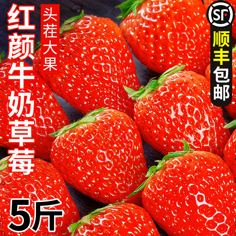 正宗红颜奶油草莓99红颜牛奶大奶油新鲜水果礼盒当季整箱包邮顺丰,水产肉类/新鲜蔬果/熟食,草莓,淘宝优惠券,粉丝福利购,淘宝优惠卷