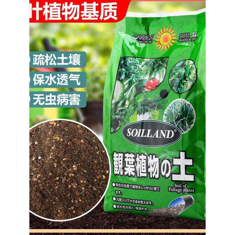 观叶绿叶植物专用营养土家用绿萝发财树龟背竹花土虎皮兰种植泥土