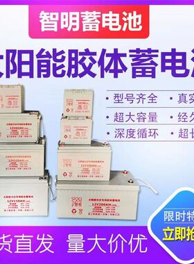 太阳能专用胶体蓄电池12v100ah机房基站250a光伏监控路灯户外电瓶