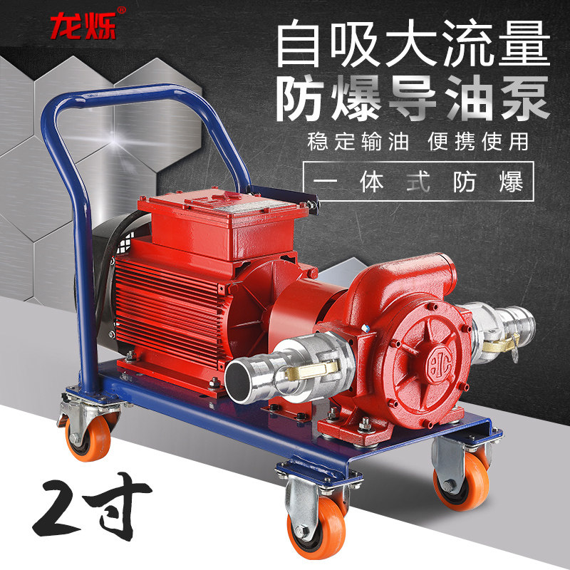 防爆导油泵电动抽油泵12v24v220v大流量自吸抽油柴油汽油加油机