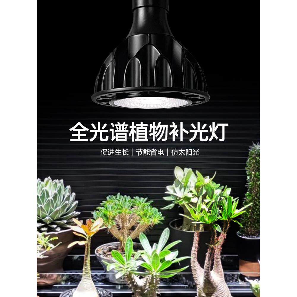 植物补光全光谱彷日光Led射灯龙舌兰根室内热种植绿色植物生长灯