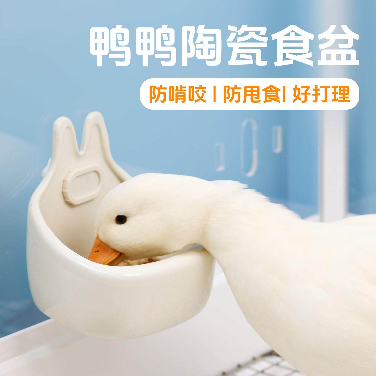 柯尔鸭宠物鸭陶瓷食盆小宠兔兔龙猫悬挂式易清洗食盆/食盒/喂食器