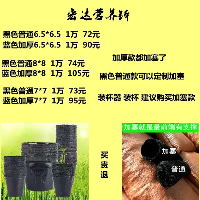 营养钵营养杯塑料育苗杯花盆一次性营养袋厂家直销育苗盆黑色加厚
