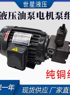 液压油泵电机组VP20+0.75KW1.5液压泵总成内轴电机液压站配件系统