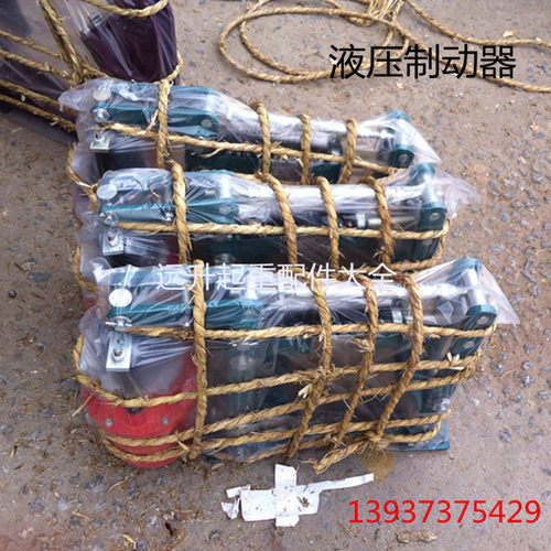 供应YWZ-200/25系列电力液压鼓式制动器 起重机YWZ系列制动器抱闸