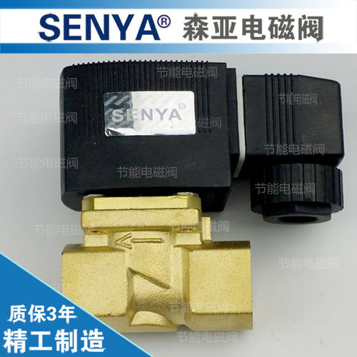 4分室外防水电磁阀水阀  6213-04 SY22310-15 1寸220V 24V 12V
