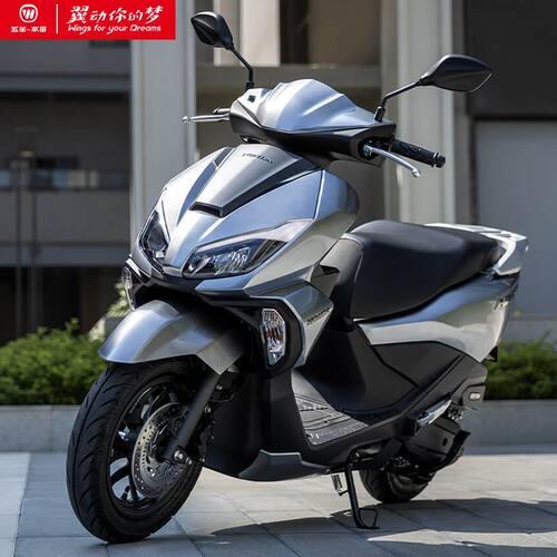 全新五羊本田NPF125燃油摩托车