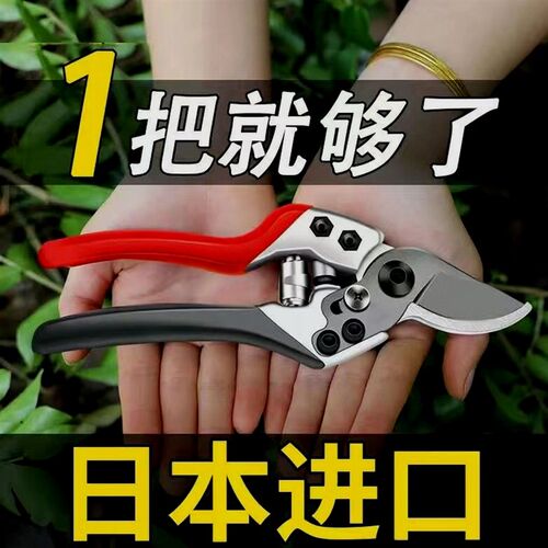 德国进口VVT修枝剪园林园艺树枝剪省力型SK5强力家用花枝果树剪刀