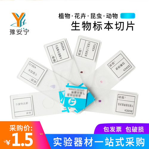 淋巴结团藻曲霉伞蕈囊虫字母eE洋葱鳞片叶表皮水绵黑根霉正常人染