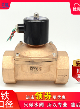 常闭电磁阀汽车淋水阀AC220V24VDN65电磁水阀铸铁大口径螺纹接口