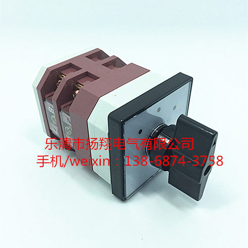 万能转换开关 LW38A-164D0416/2