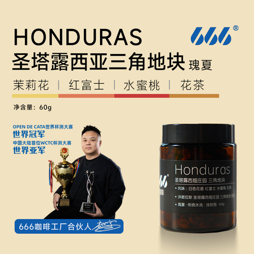 洪都拉斯瑰夏圣塔露西亚三角地块