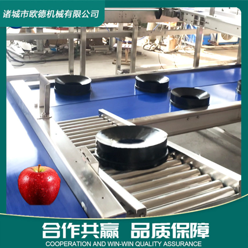 番茄梨桃子自由果托式皮带分拣机水果无损果托分选机 西瓜分选机