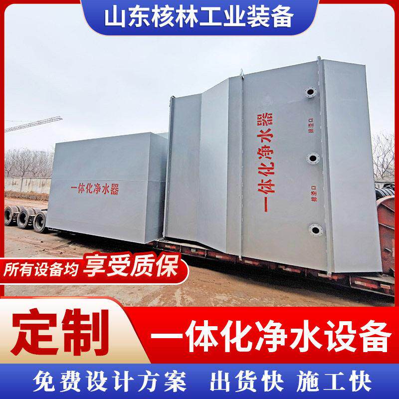 全自动一体化净水设备河水矿井水一体化处理装置农村生活净水器