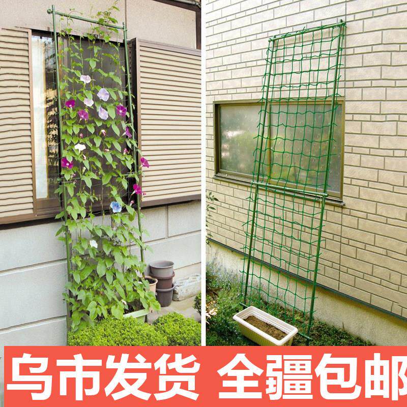 爬藤支架花架铁线莲爬架绿萝铁线月季藤架葡萄攀爬架阳台庭院架子