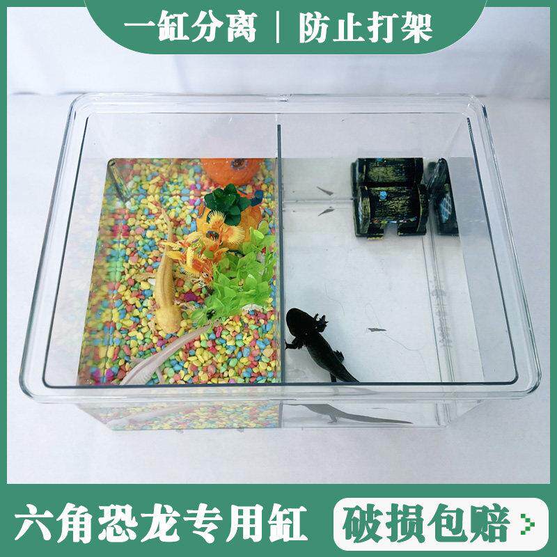 塑料鱼缸带隔板分开六角恐龙鱼鱼缸造景蝾螈饲养缸客厅小型生态缸
