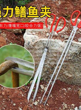 黄鳝夹子加长防滑鳝鱼夹不锈钢抓螃蟹泥鳅钳子赶海工具长鱼捕捉器