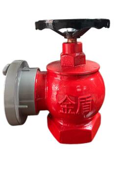 室内消火栓头消防水带阀门 SN65消防器材配件室内消防栓上海金盾