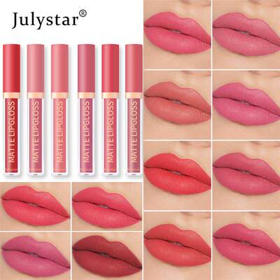 Matte Lip Gloss Non transfer Long Lasting雾面哑光不沾杯唇釉
