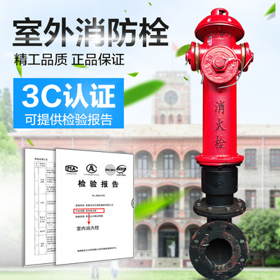 SS100/65-1.6地上式消火栓/地上栓/室外消火栓/室外消防栓