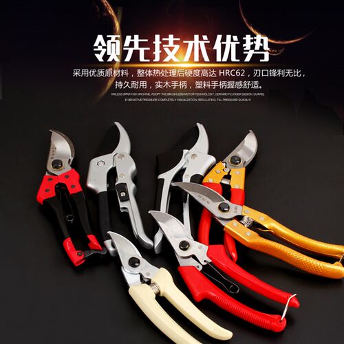 正品剪刀修枝剪果子剪果树园艺剪树枝剪果枝剪花木修剪SK5钢包邮