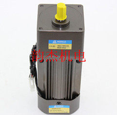 HOULE定速电机300W齿轮减速电机6IK300W-GU/6GU-120K-600K/220V