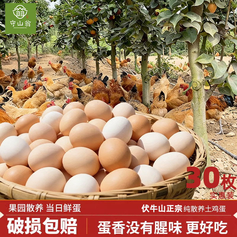 守山翁正宗山林散养土鸡蛋30枚年货实惠装 柴鸡蛋,水产肉类/新鲜蔬果/熟食,鸡蛋,淘宝优惠券,粉丝福利购,淘宝优惠卷