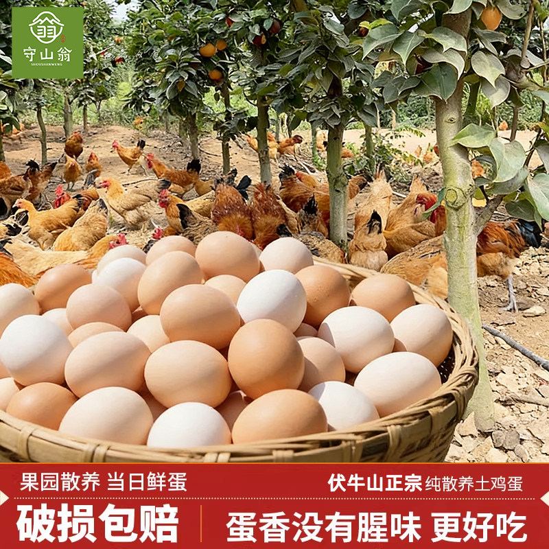 守山翁 正宗农家散养土鸡蛋 过年实惠装鲜鸡蛋,水产肉类/新鲜蔬果/熟食,鸡蛋,淘宝优惠券,粉丝福利购,淘宝优惠卷