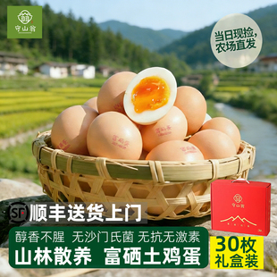 守山翁农家散养新鲜土鸡蛋富硒鸡蛋礼盒装30枚 顺丰发货年货
