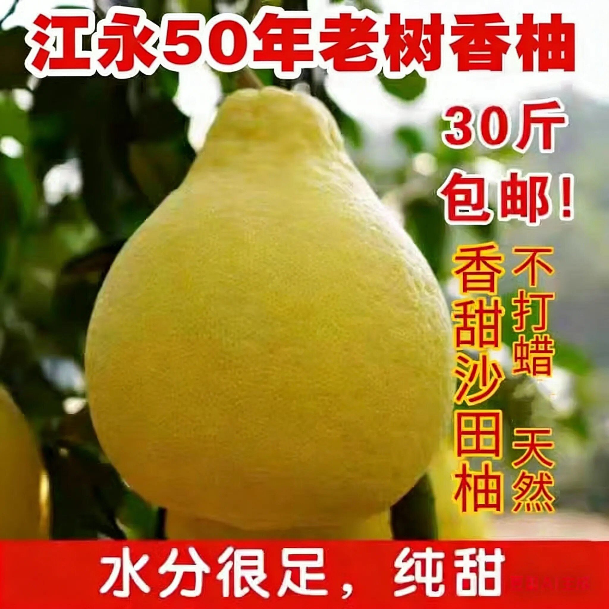 正宗江永香柚大果湖南永州特产纯甜老树冰糖沙田柚非容县梅州柚子
