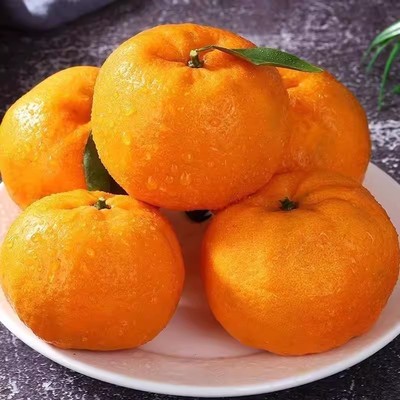 新鲜老树芦柑椪柑9斤酸甜多汁