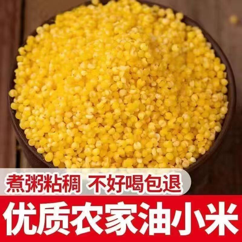 黄小米营养月子食品农家自种新鲜糯小米月子五谷杂粮小黄米优质