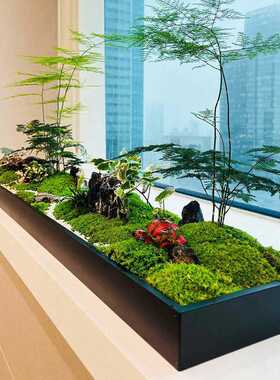 铁艺造景花盆长方形桌面景观绿植苔藓托盘花器室内装饰不锈钢花槽