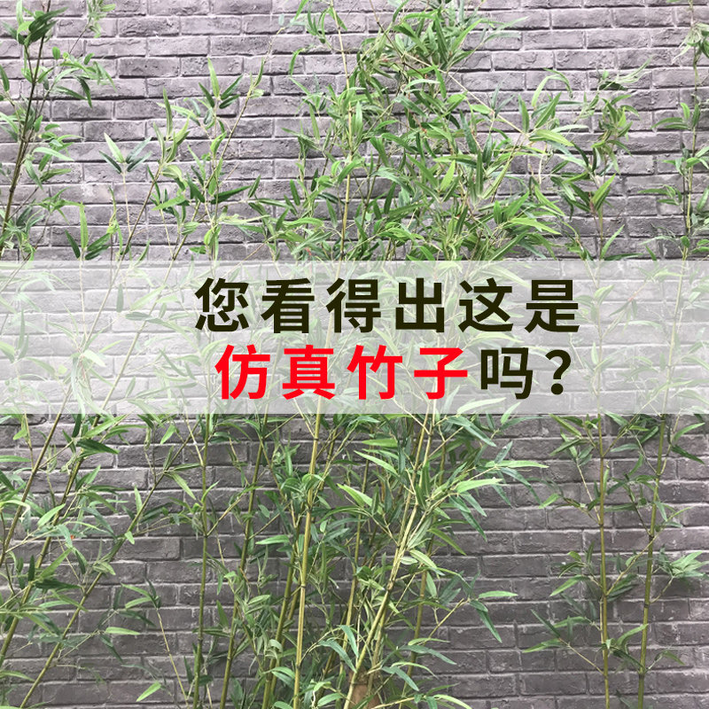 仿真竹子装饰隔断挡墙屏风户外造景观室内摆放假竹子绿植仿真植物