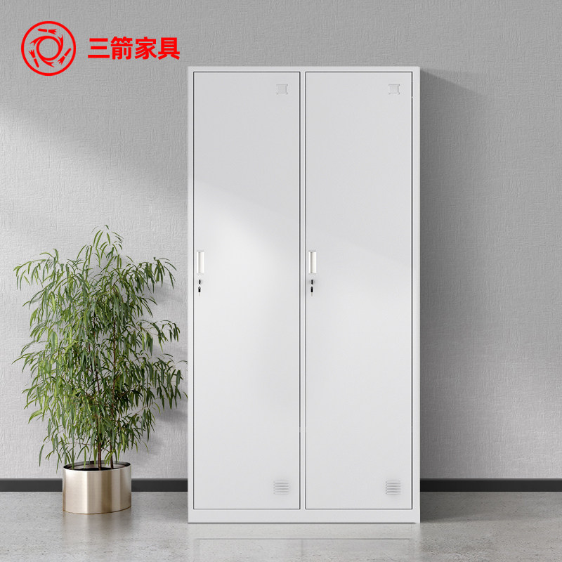 三箭 二门更衣柜铁皮柜员工柜办公室带锁储物柜寄存柜两门挂衣柜
