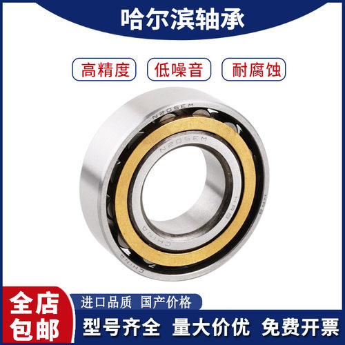 HRB哈尔滨大型机床主轴圆柱滚子轴承N2244 2252 E EM