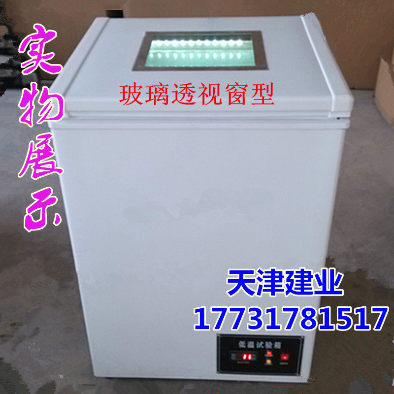 DW-40型透明盖低温箱 透视窗低温试验箱 低温冰柜 冷冻箱 冰箱