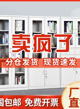 办公室文件柜铁皮档案凭证资料柜员工更衣柜铁柜矮柜带锁储物柜子