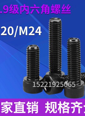 12.9级内六角螺丝螺栓螺杆螺钉杯头圆头螺丝M20/M24*30*40*50-500