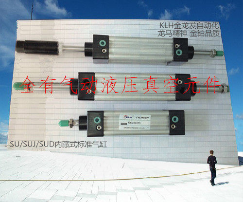 SUD100X25X50X75X100X125X150-S内藏式米字带磁高温双出双轴气缸