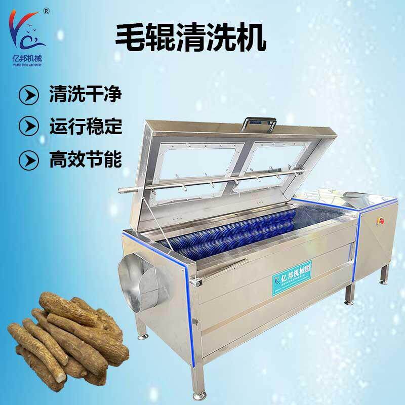 人参去泥沙清洗机白芷毛辊去皮清洗机芡实去泥去皮一体机