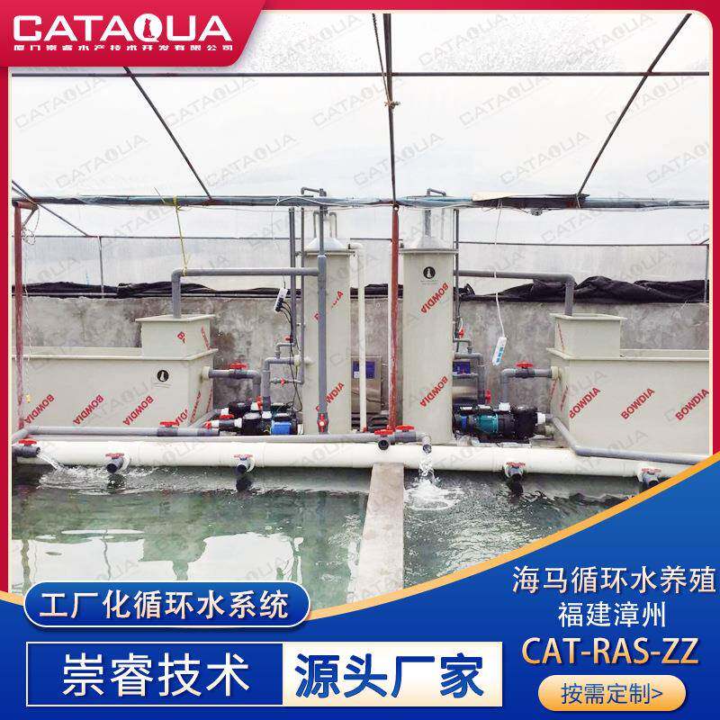 技术漳州海马循环水养殖项目工厂化循环水处理设备水处理系统